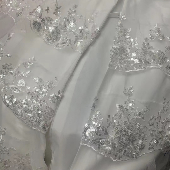 Lace Wedding Dress - Picture 4 of 9